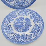 Duo of plates
