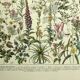 Old engraving 1928. Medicinal plants (1) by Millot. Botanical plate.