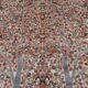 Pakistan Handmade Oriental Carpet 2.72 x 1.88 m