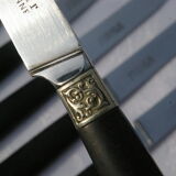 12 dessert knives hors d'oeuvre cheese- handle ebène
