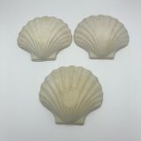 Set of 3 scallops in biscuit