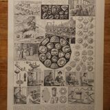 Lot de 12 lithographies originales