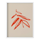 Botanical illustration giclee print, 50x70