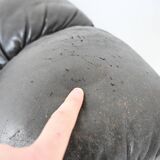 DS-600 sofa by Berger, Peduzzi, Vogt & Ulrich for De Sede, 1970s