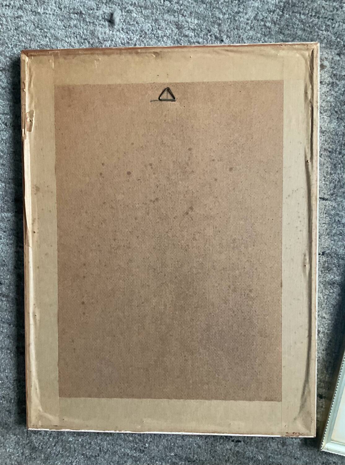 Series of 3 botanical frames from the 70s