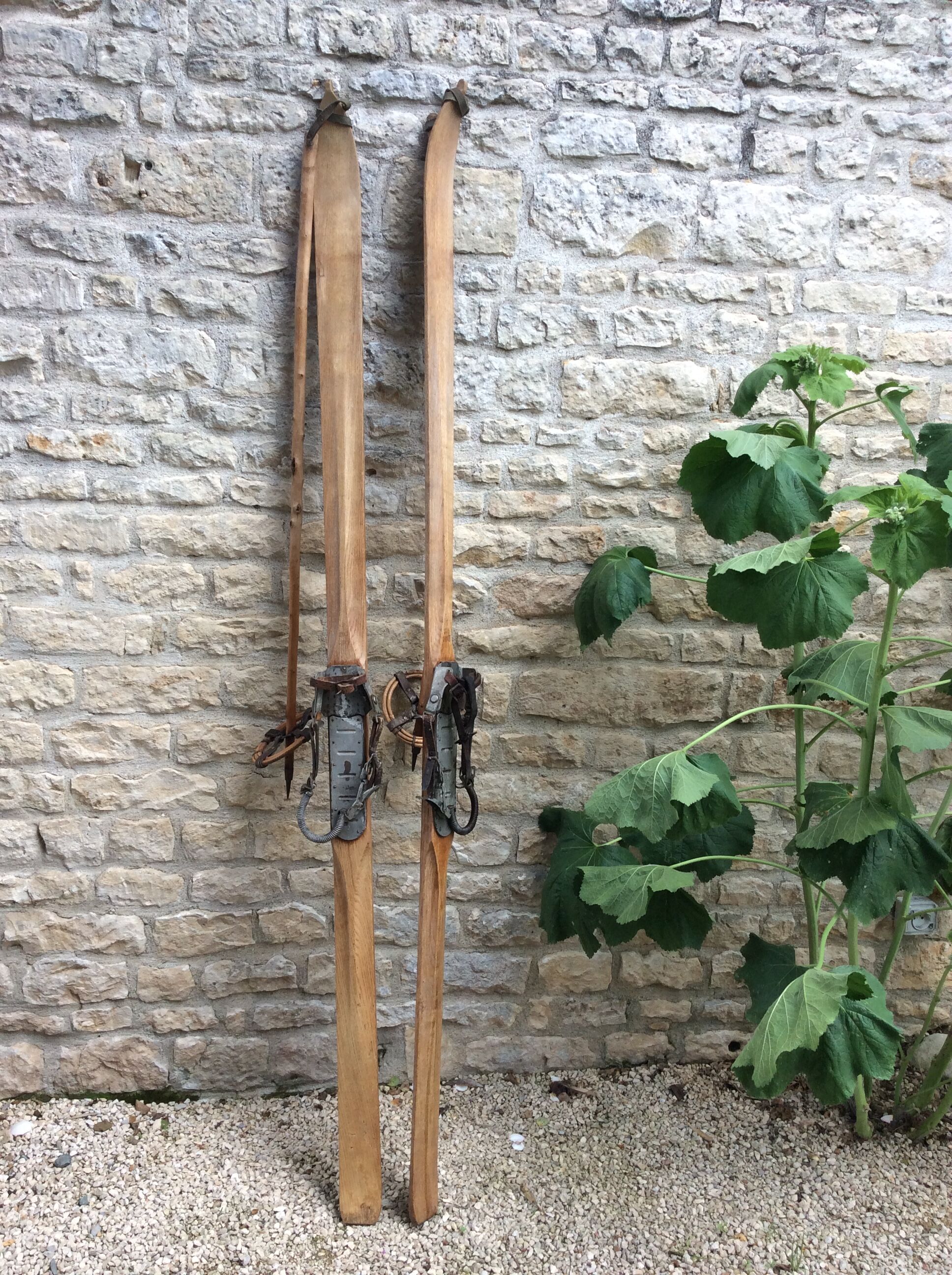 Vintage ski and old sticks