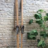 Vintage ski and old sticks