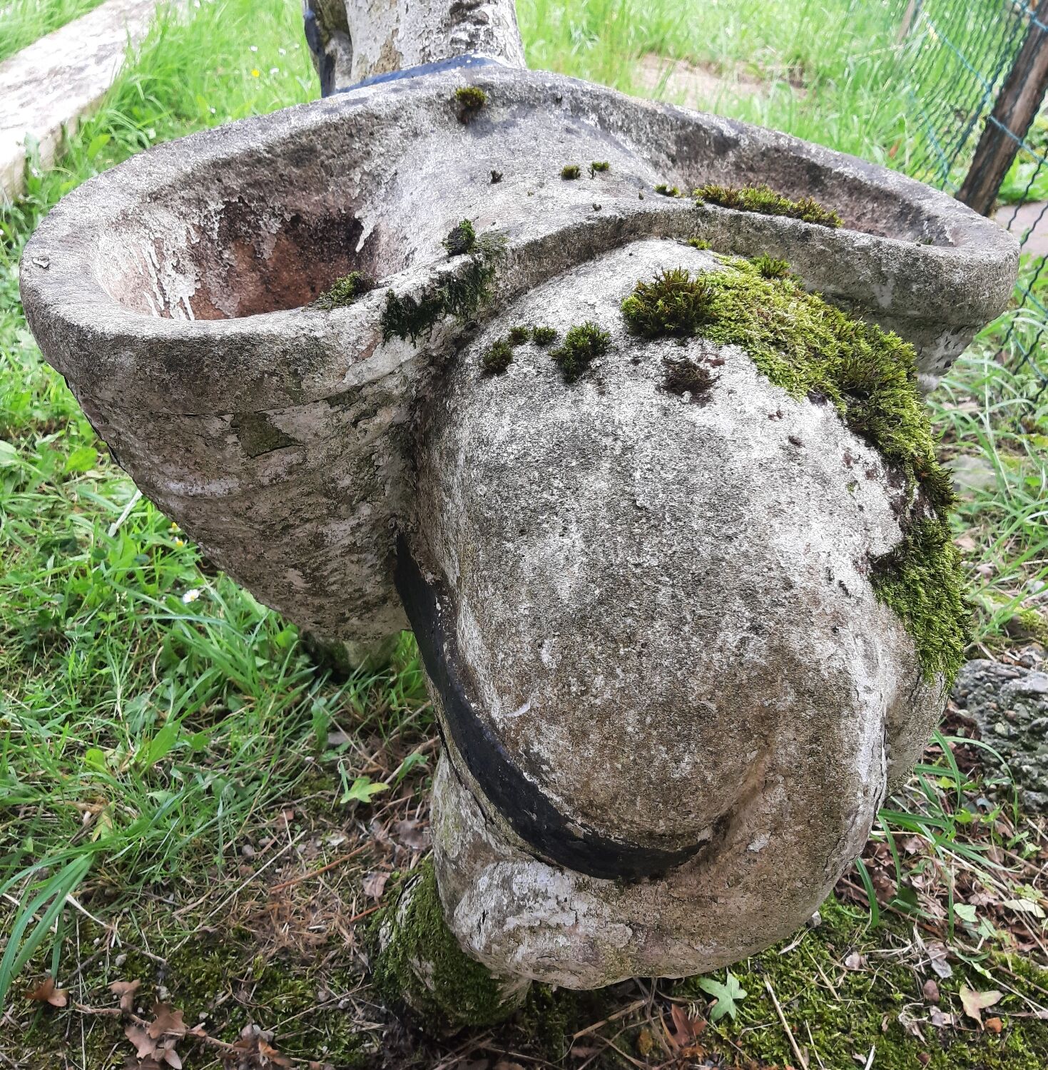 Âne jardinière année 60-70