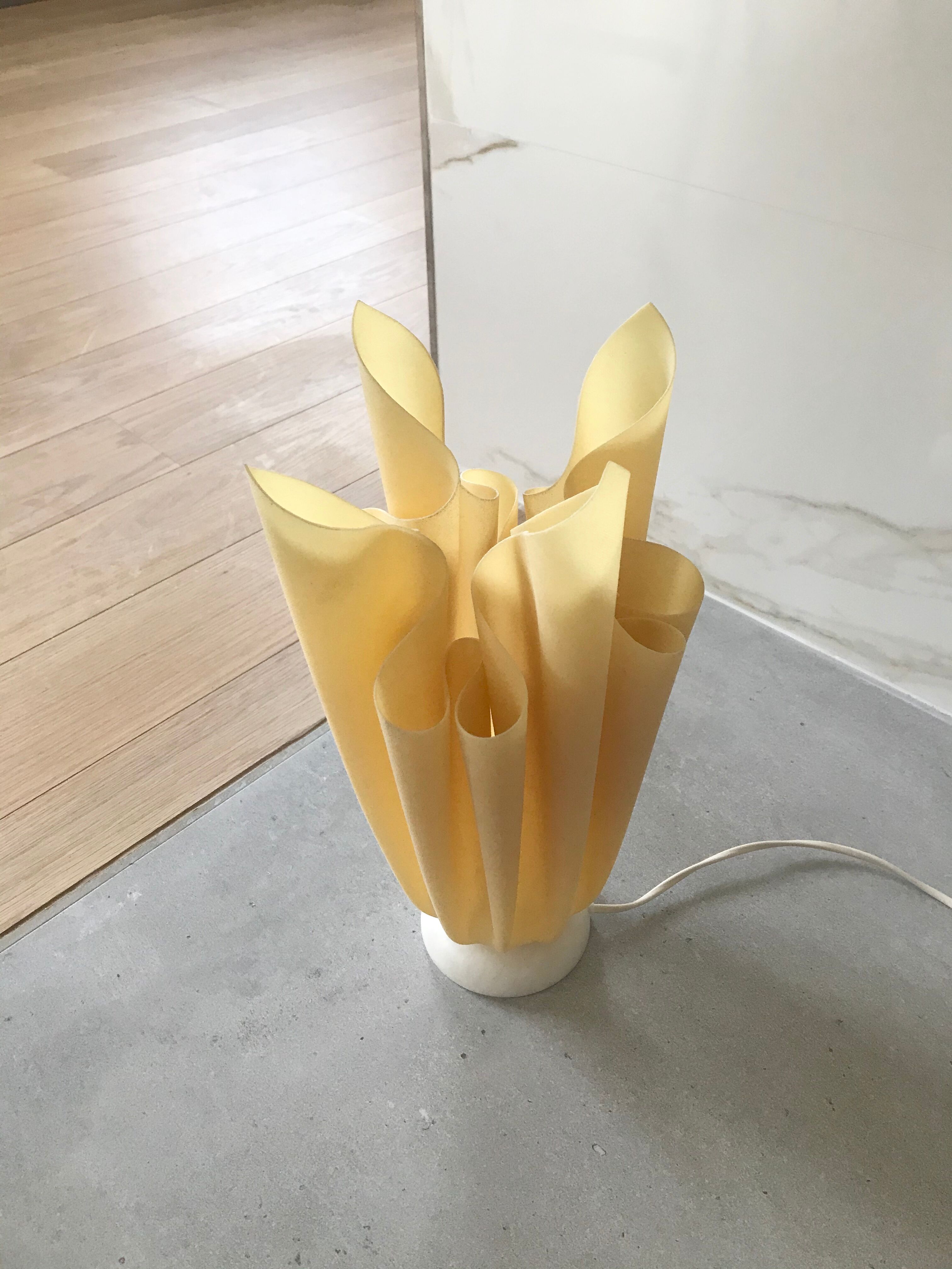 Georgia Jacob's lamp to lay