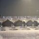 8 antique Baccarat crystal champagne coupes with engraved decoration.