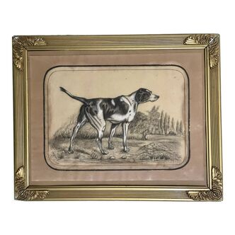 French Charcoal and white chalk drawing "English Pointer Dog Portrait",  1890s