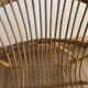 Rattan shell chair