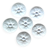 Oyster plates