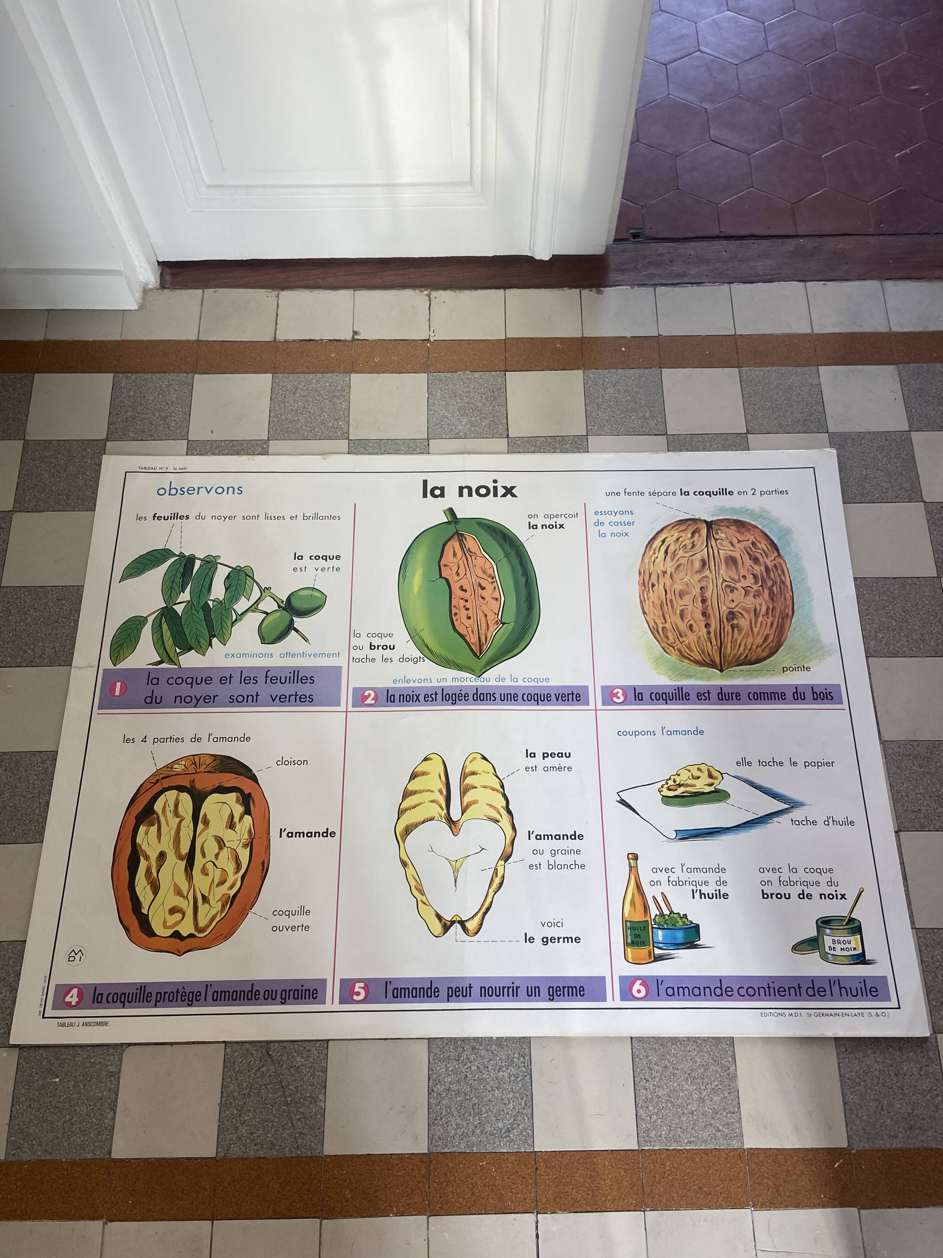 Vintage educational poster