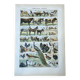 Sheet "Pets" 20x29 cm