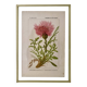 Botanical plate