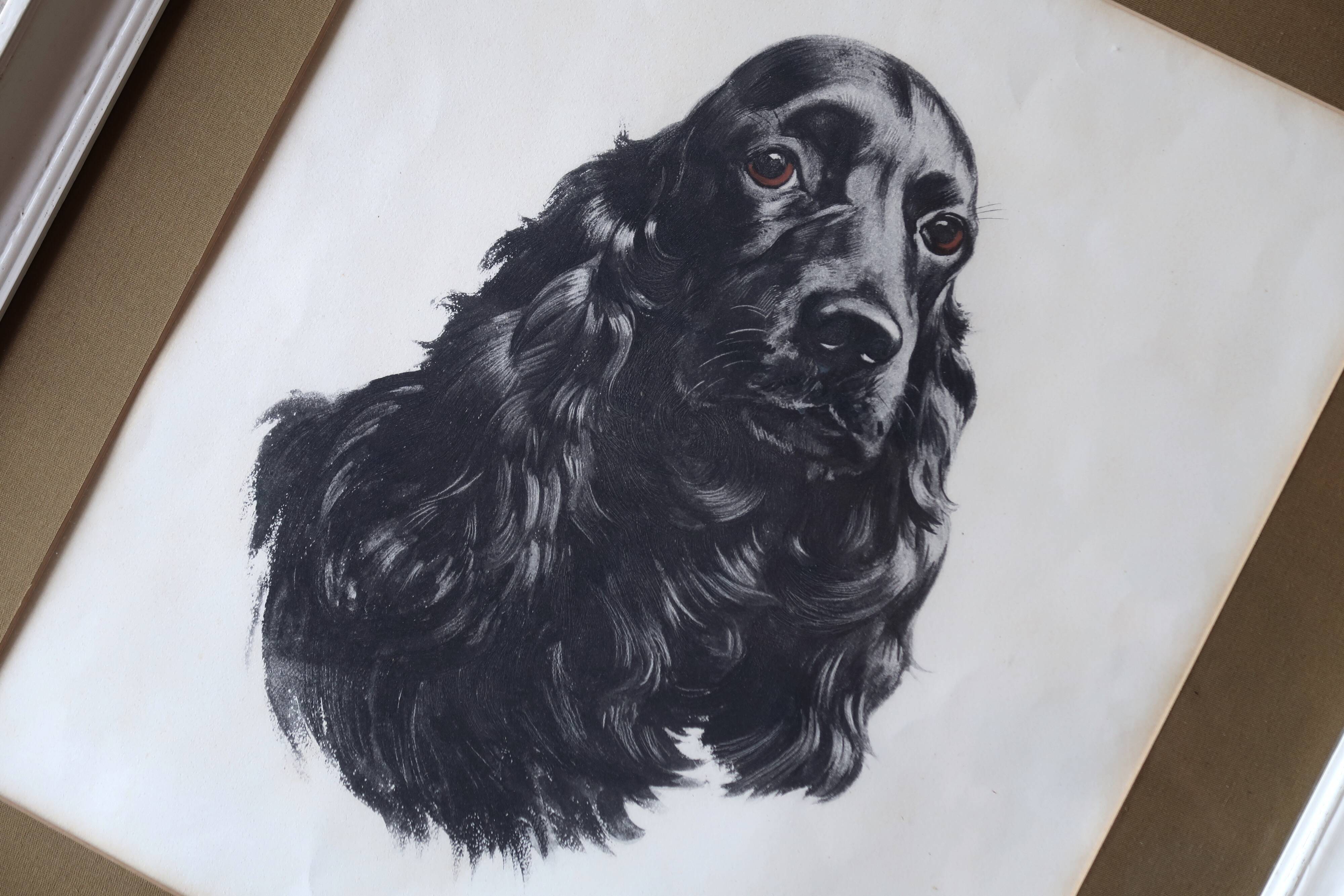 Animal portrait, painting signed by Jean Rivet, 1960s