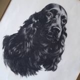 Animal portrait, painting signed by Jean Rivet, 1960s