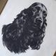 Animal portrait, painting signed by Jean Rivet, 1960s