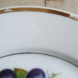 6 Fruit decorated plates Pillivyt France