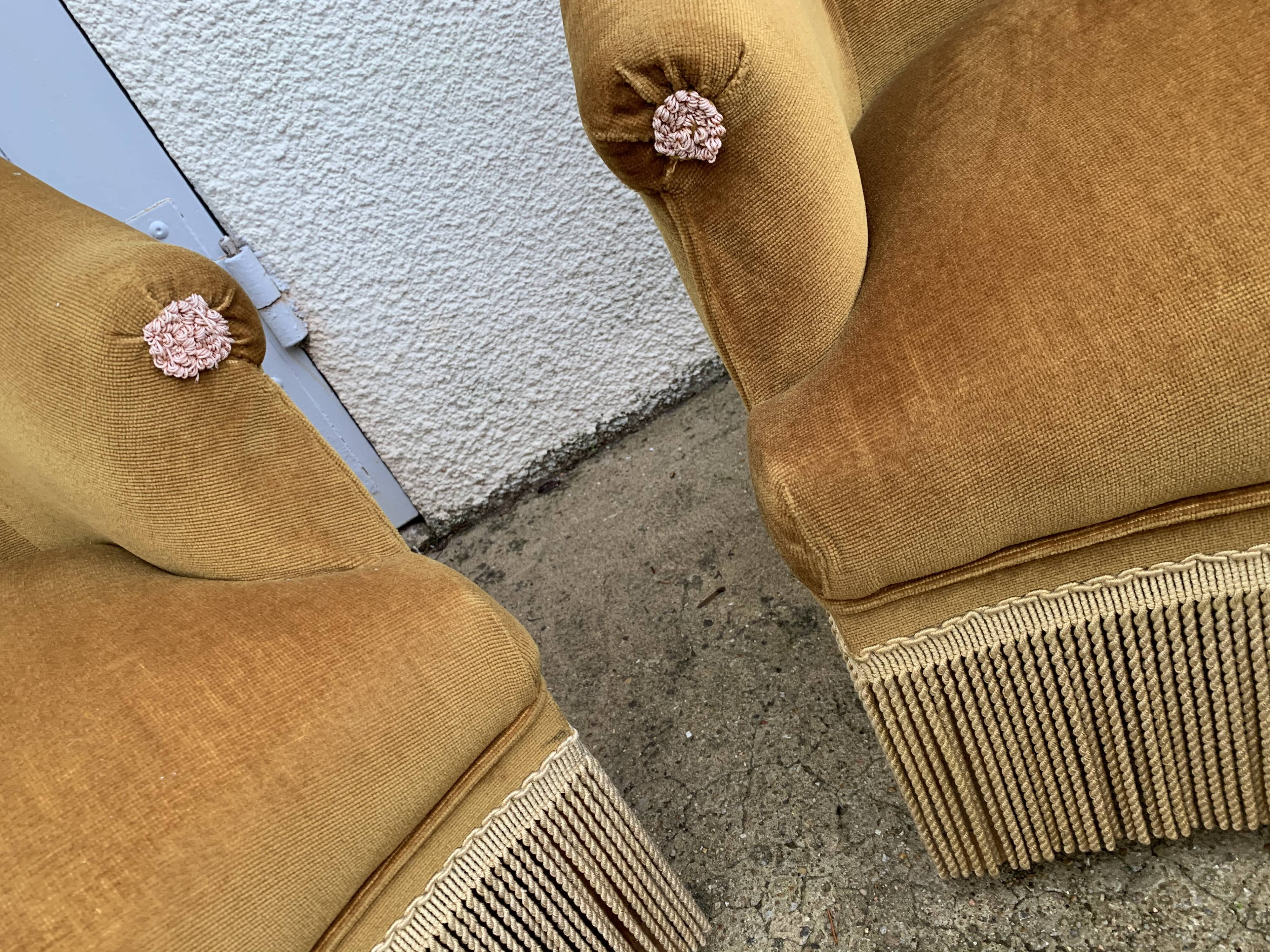 Pair of golden velvet toad armchairs 1970