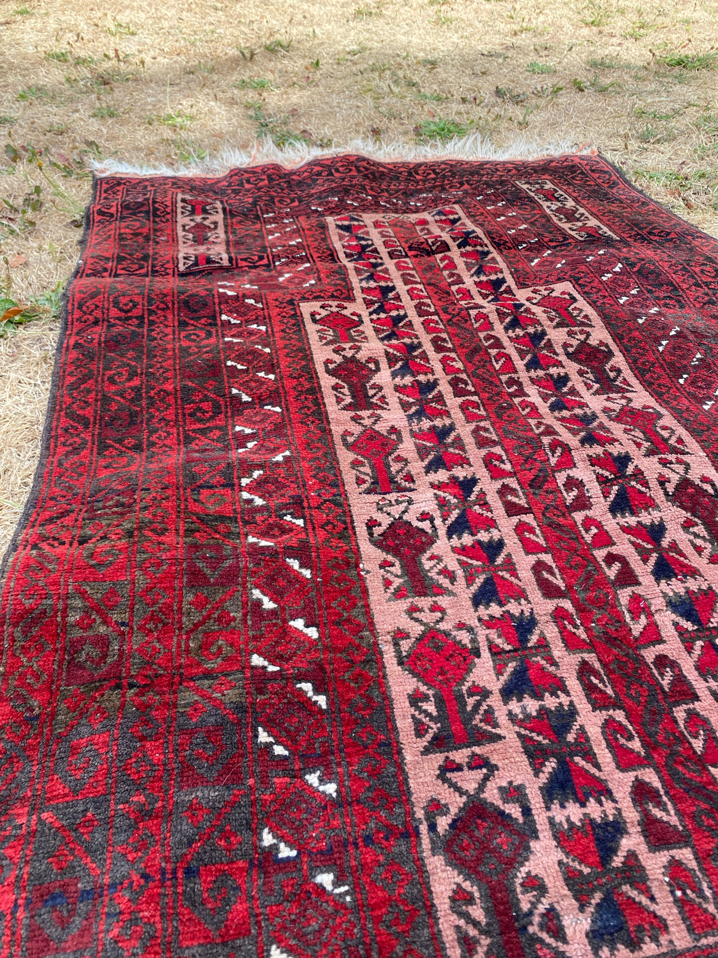 Afghan carpet