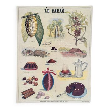Affiche Deyrolle le cacao