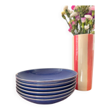 Lot de 6 assiettes creuses bleues