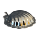 Butter shellfish