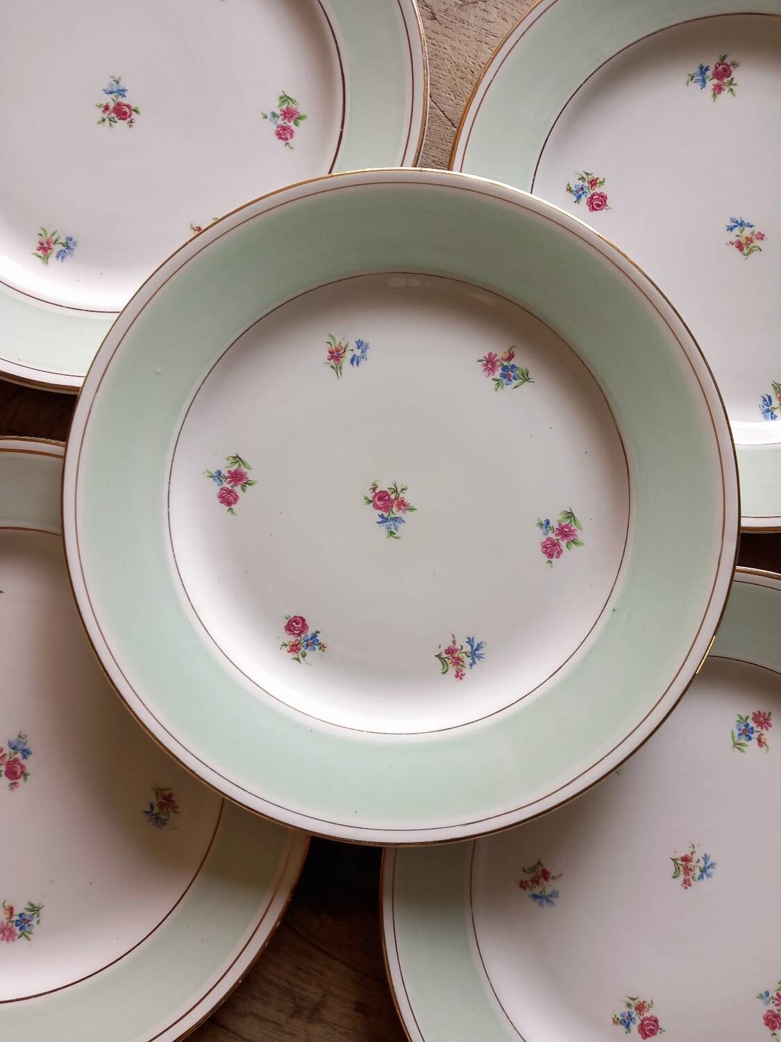 Porcelain SA dinner plates