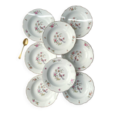 8 vintage porcelain soup plates digoin sarreguemines model conde bird of paradise pattern