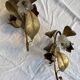 Pair of golden flower wall lights - 20th century