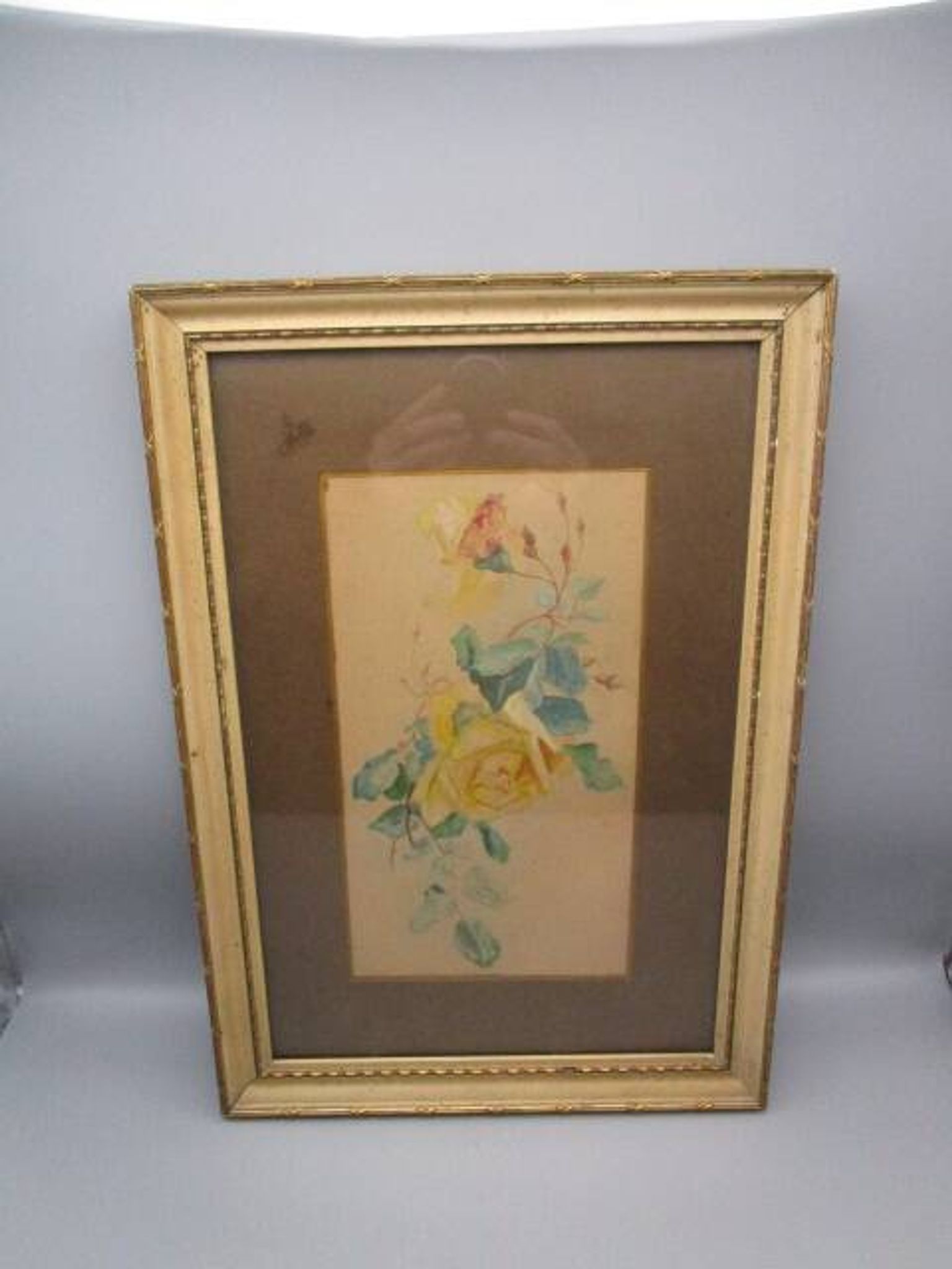 Old watercolor - stem of roses - framed