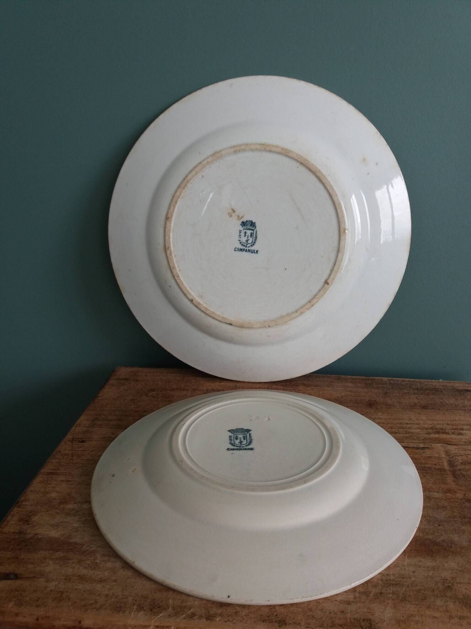 Set of dishes and plates from Terre de fer Saint Amand and Hamage Campanule