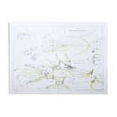 Lithographie originale signée et numérotée françois delaroziere, le calamar à retropropulsion, 2008