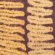 Stunning Large Vintage Dida Raffia Kerchief. Cote D'Ivoire
