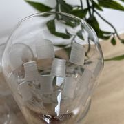 Set of 6 engraved wine glasses