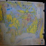 Map old mural Nalliers Vienna France geology and relief