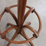 Thonet style parrot