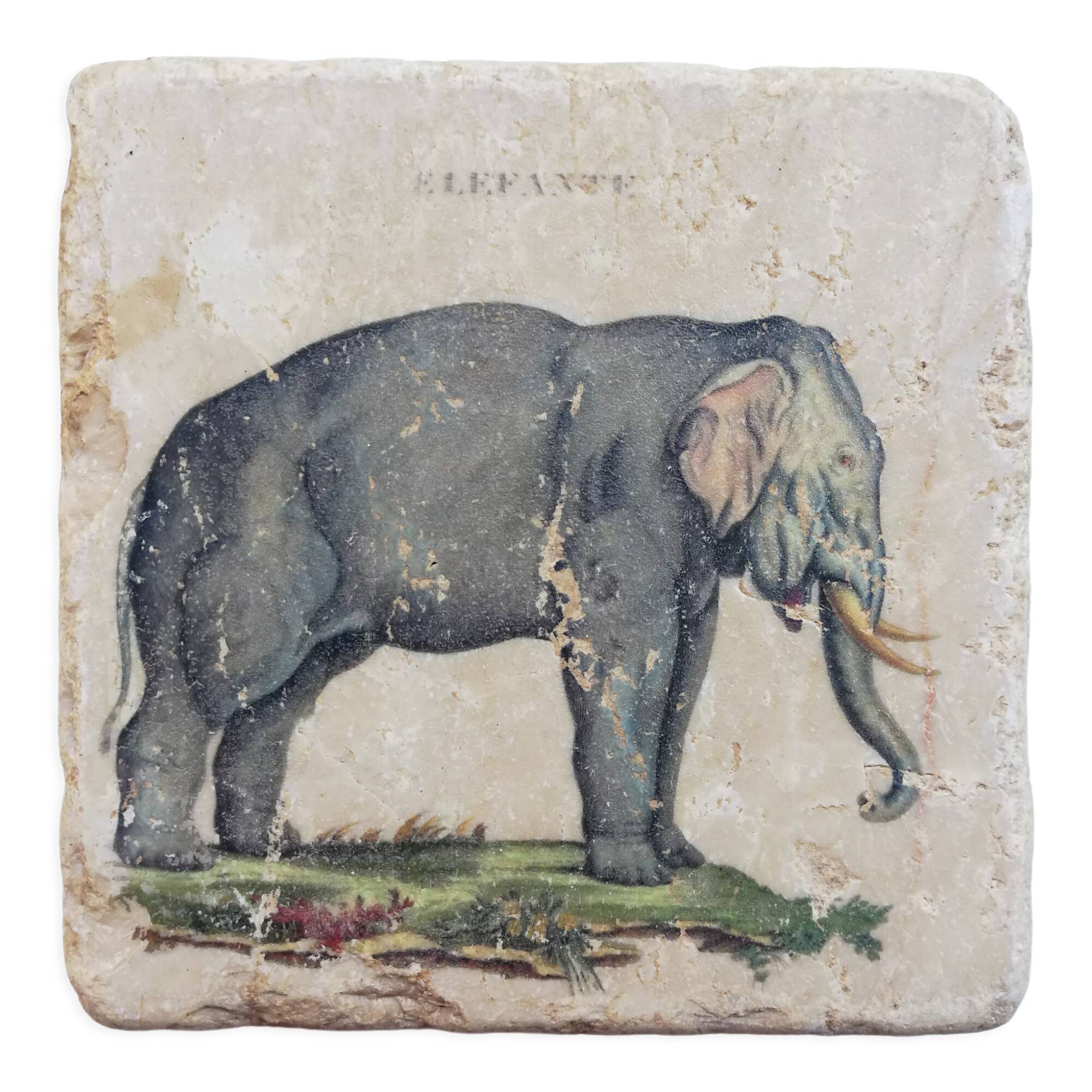 Marble coasters, elephant décor