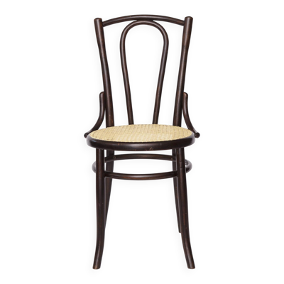 Chaise Fischel en bois courbé – du début du XXe siècle, cadre en hêtre avec