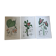 Trio de gravures botaniques XIXème