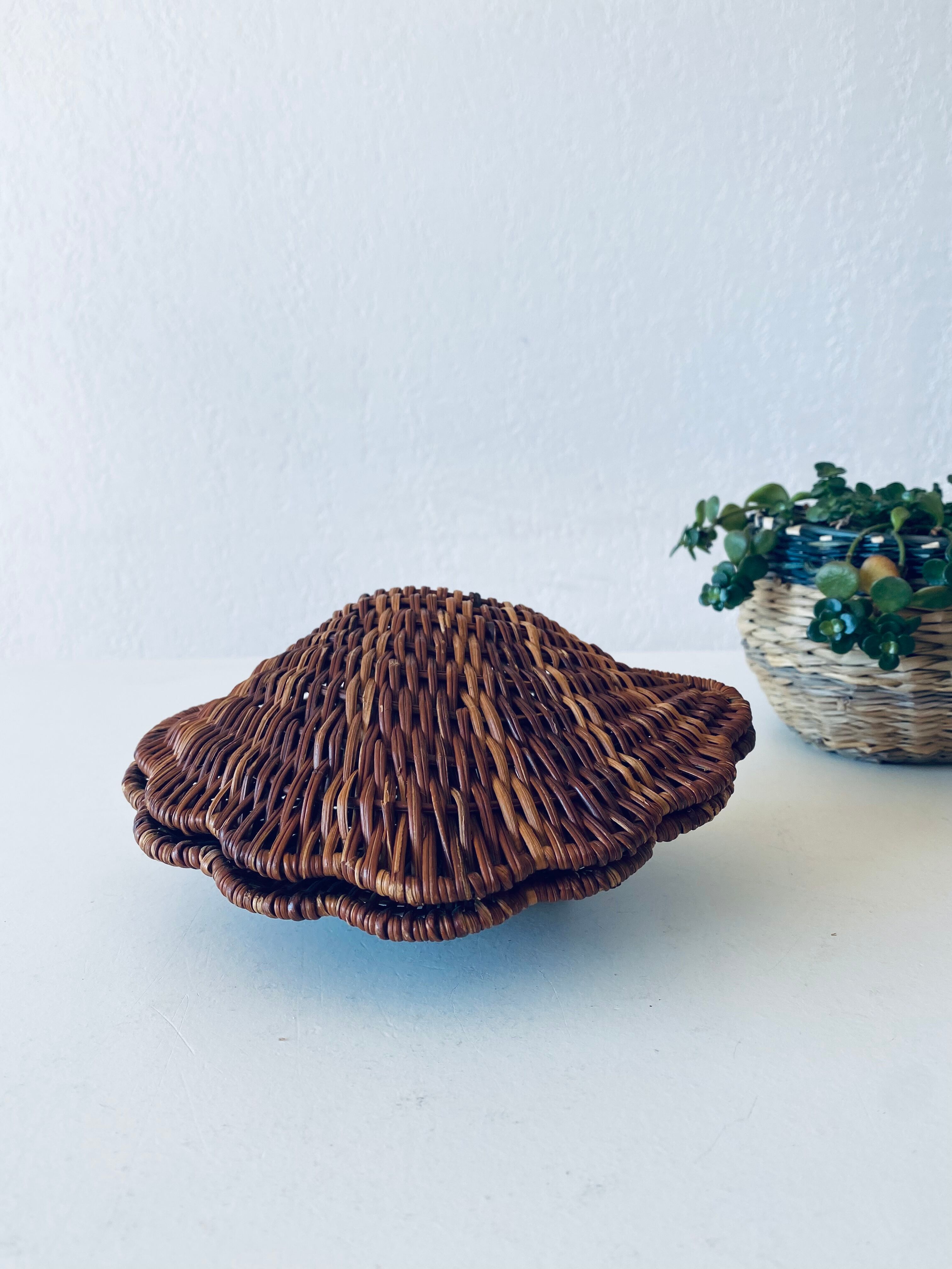 Wicker shell box