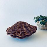 Wicker shell box