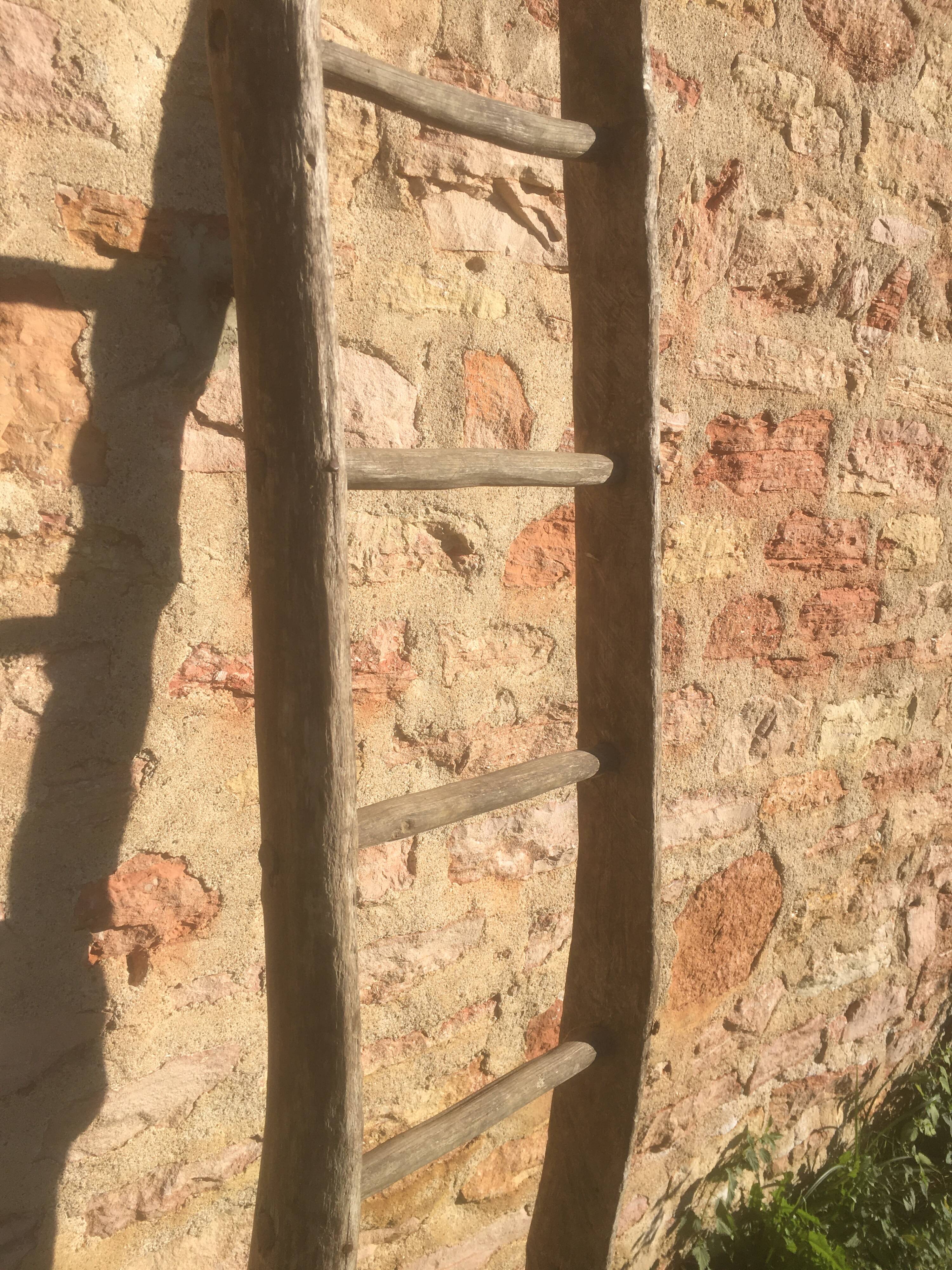 Acacia farm ladder 3/40s