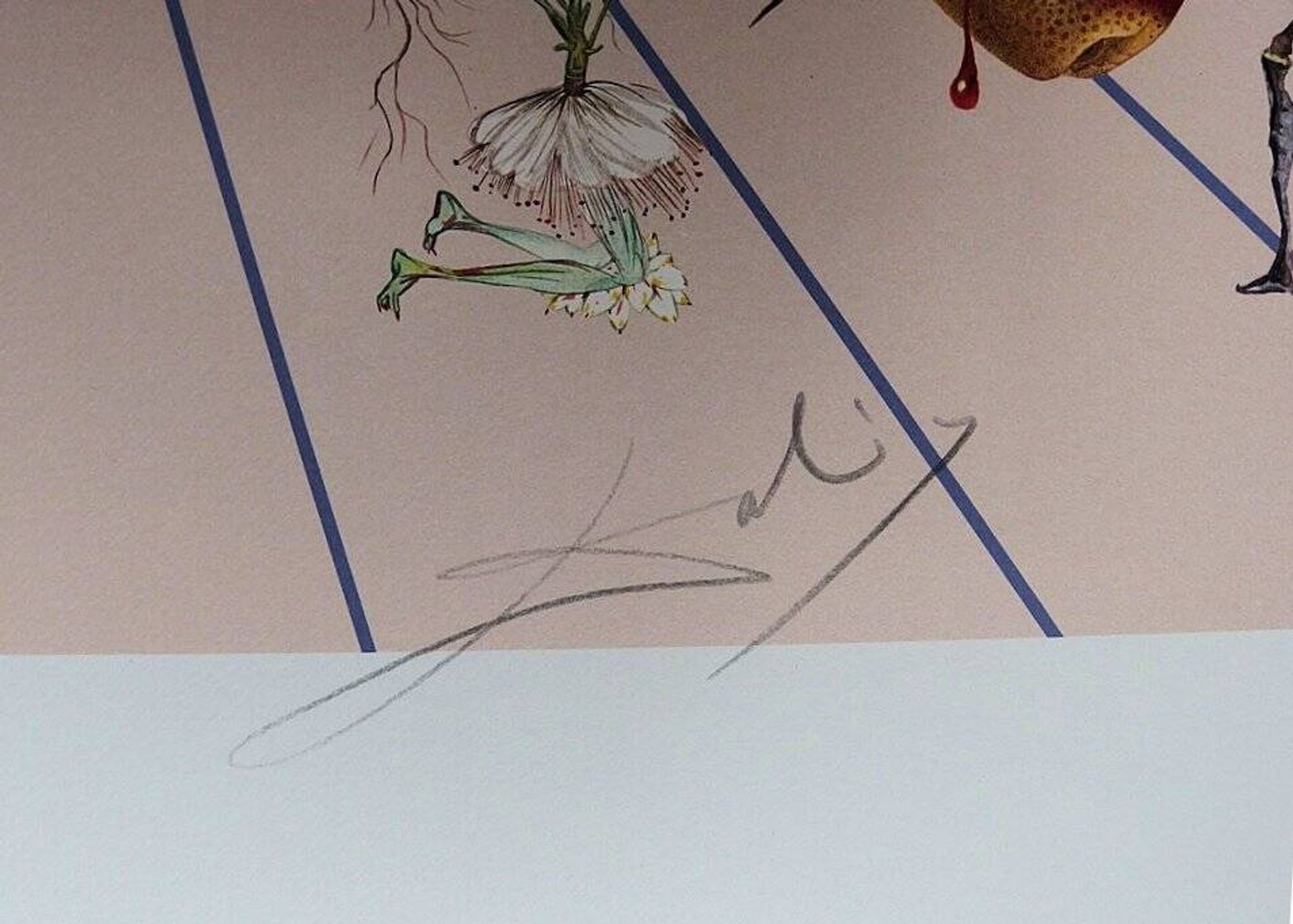 Salvador Dali : Flordali II, La rose papillon - Lithographie originale signée