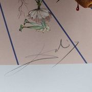 Salvador Dali : Flordali II, La rose papillon - Lithographie originale signée