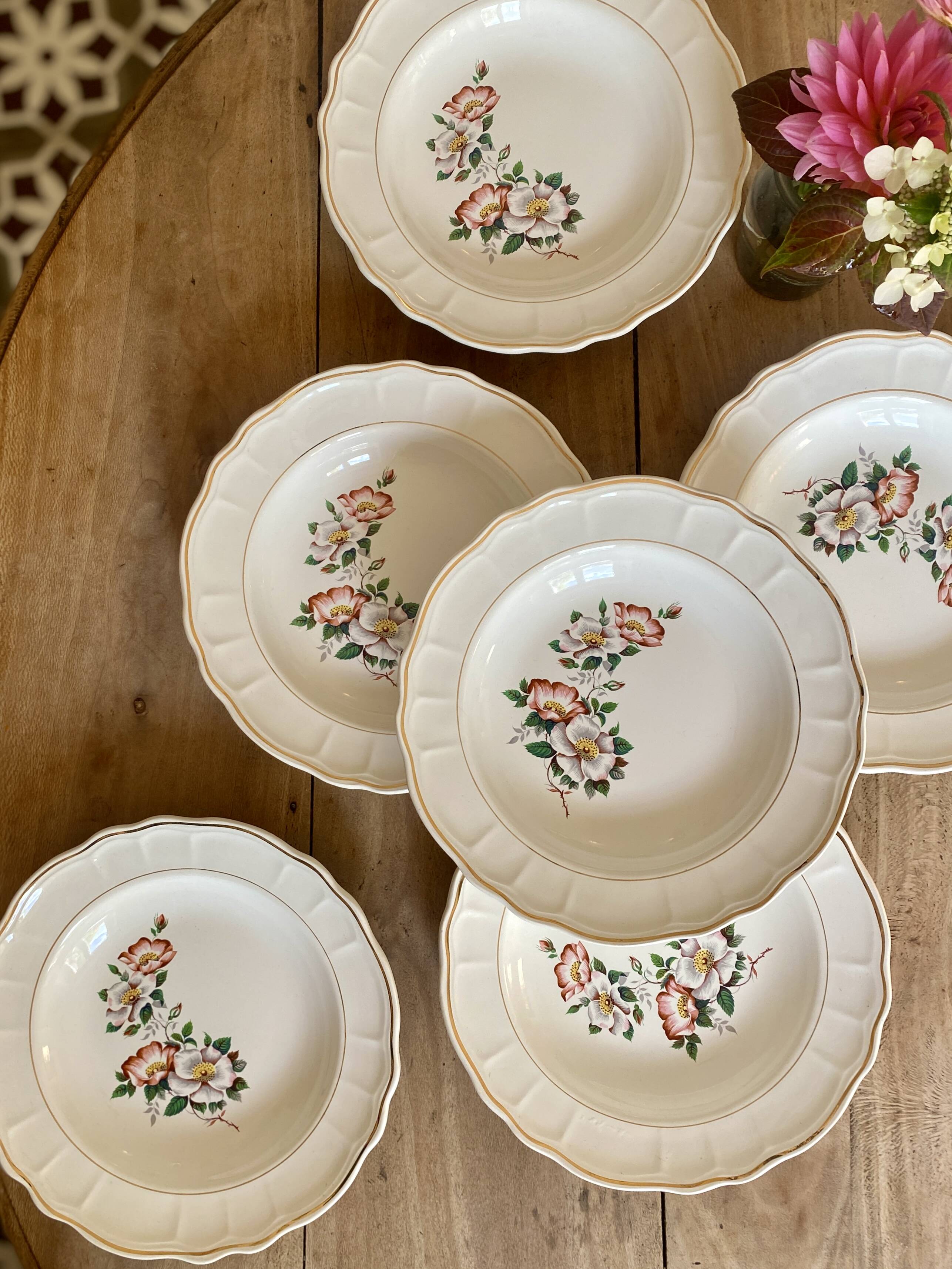 Set of 6 vintage Salins soup plates