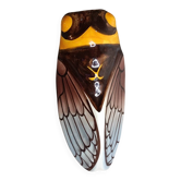 Decorative cicada