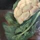 Huile sur toile nature morte